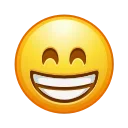 R (1)